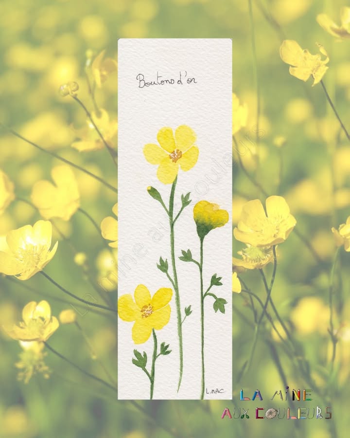 La Mine aux Couleurs