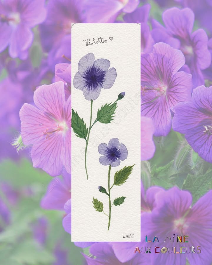 La Mine aux Couleurs